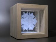 Ice Floating